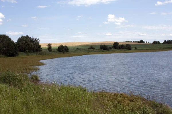 stock image Pond at Trebon, Czech republic