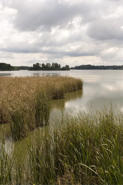 Rozmberk pond at Trebon, Czech republic — Stock Photo, Image