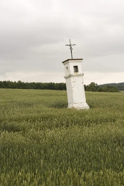 Широкий хрест у полі — стокове фото