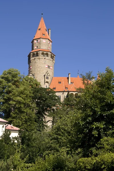 Бузовский замок — стоковое фото