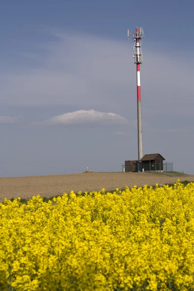 GSM vericisi alanları