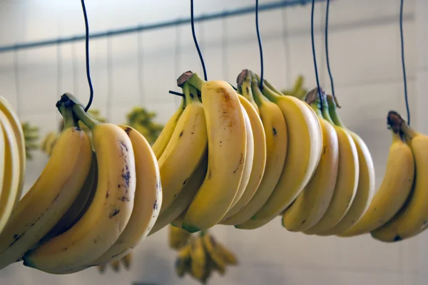 Бананы в магазине Лицензионные Стоковые Фото