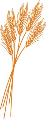 Ears of wheat clipart