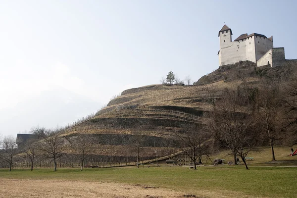Castelo de gutenberg — Fotografia de Stock