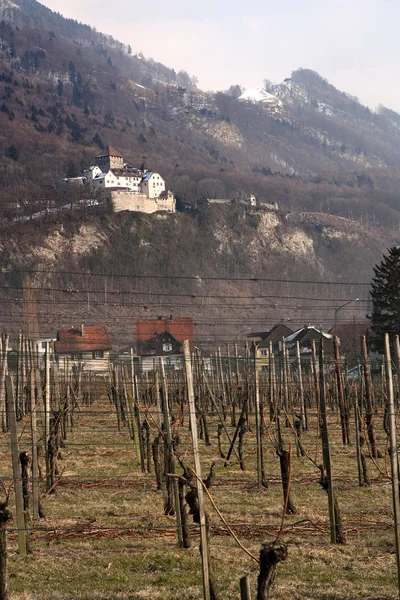 Vaduz kasteel en wijngaard — Stockfoto