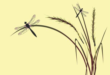 Dragonfly clipart