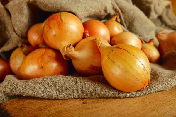 stock image Onion