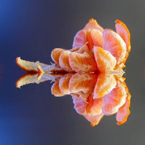 Mandarinka — Stock fotografie