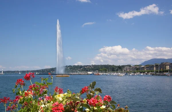 Jet D 'eau Fonte de Genebra — Fotografia de Stock