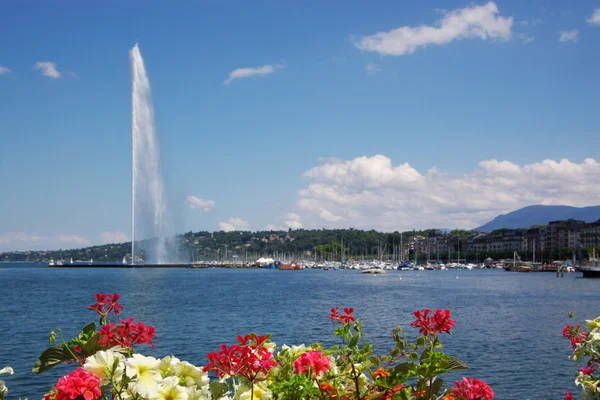 Jet D 'eau Fonte de Genebra — Fotografia de Stock