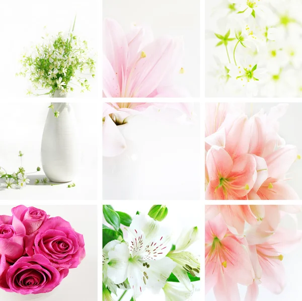 Collage de fleurs — Photo