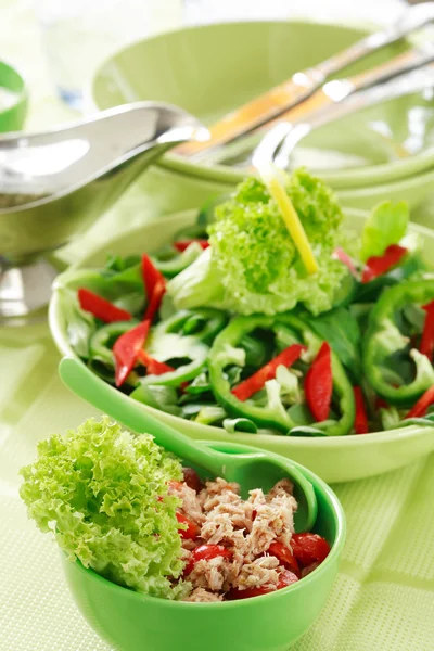 Salade met tunny — Stockfoto