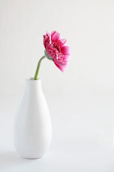 Flor rosa en jarrón — Foto de Stock