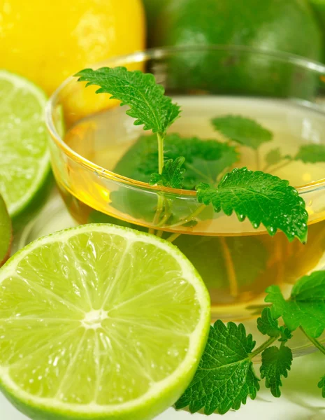Green tea with fresh mint — Stock Photo, Image