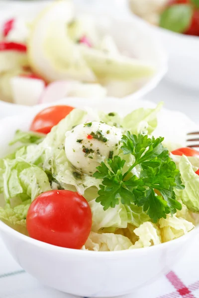 Kleine Salate — Stockfoto