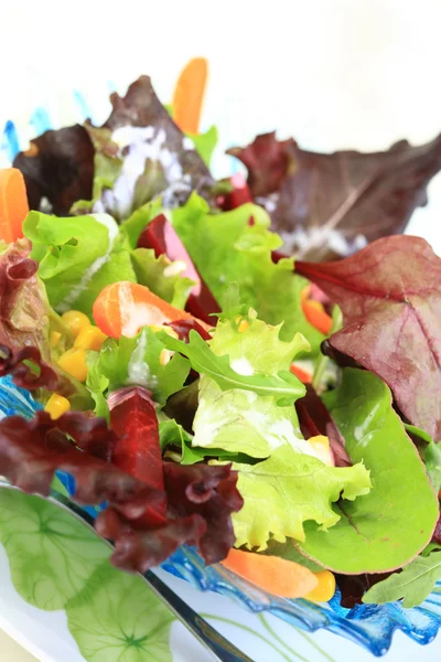 혼합된 야채 샐러드 — 스톡 사진