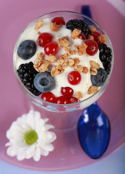 Zdravé jogurty — Stock fotografie