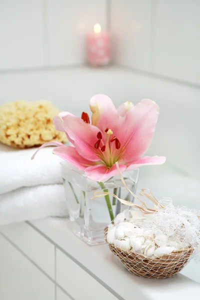 A fehér fürdőszoba-részlet — Stock Fotó