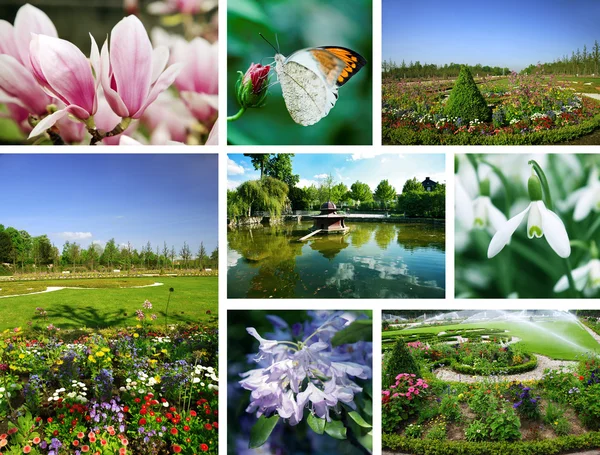 Flowers and gardens — Stock Photo, Image