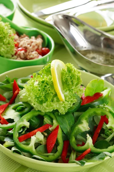 Salad with tunny Stock Picture