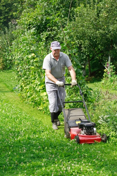 잔디를 깎는 정원가꾸기 — 스톡 사진