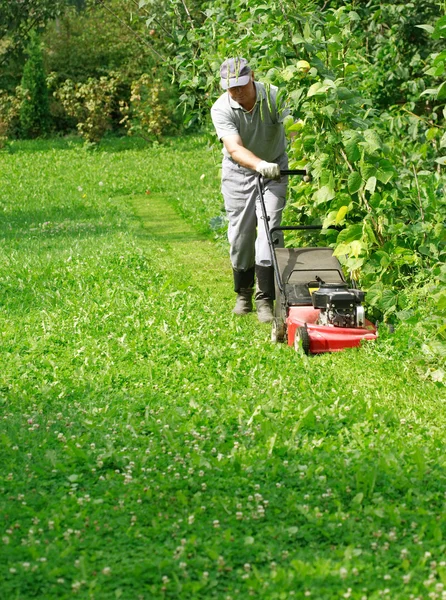 Jardinagem - cortar a grama — Fotografia de Stock