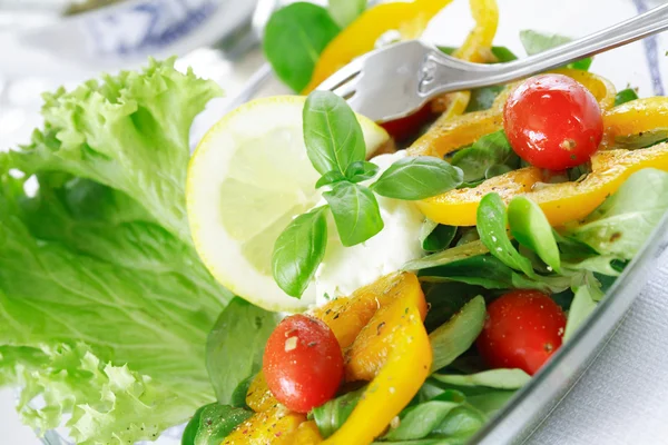 Вкусный овощной салат — стоковое фото