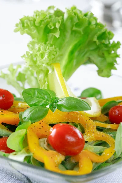 Läcker grönsakssallad — Stockfoto