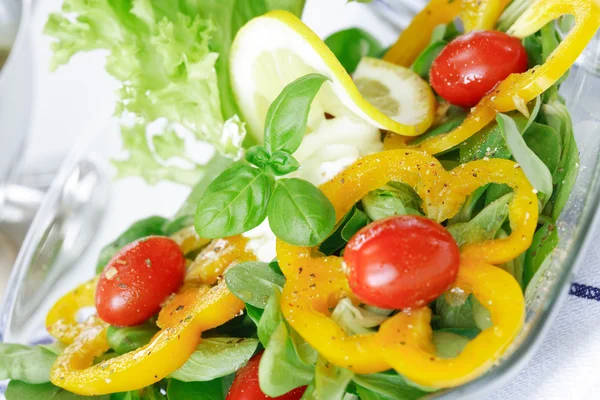 Смачний овочевий салат — стокове фото
