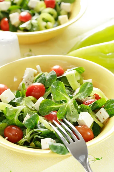 Field salad — Stock Photo, Image