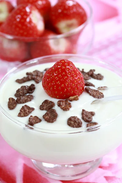Yogurt bianco — Foto Stock