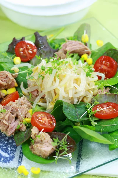 Зеленый салат с тунцом — стоковое фото