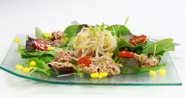 Yeşil salata ile ton balığı/orkinos — Stok fotoğraf