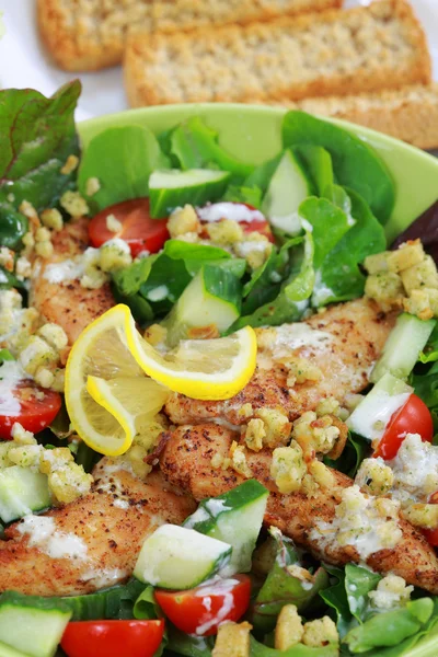 Salada verde com listras de frango — Fotografia de Stock