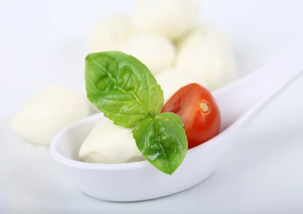 Mozzarella met tomaat en basilicum — Stockfoto
