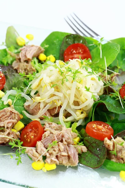 Salada verde com tunny — Fotografia de Stock