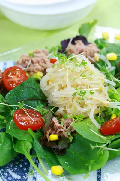 Zielona sałatka z tuńczyka — Zdjęcie stockowe