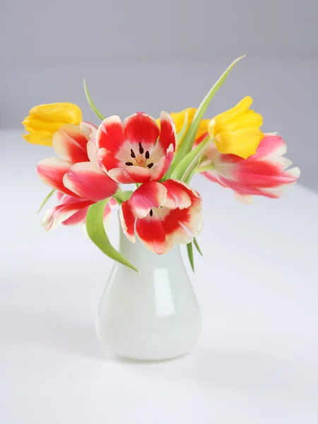 花瓶のチューリップ — ストック写真