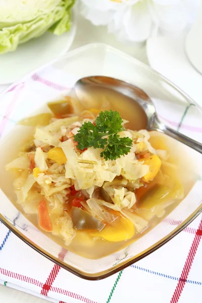 양배추 수프 — 스톡 사진