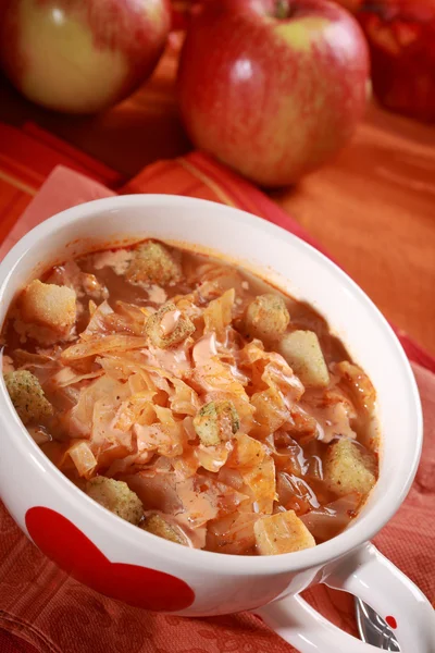 붉은 양배추 수프 (소금에 절인 양배추) — 스톡 사진