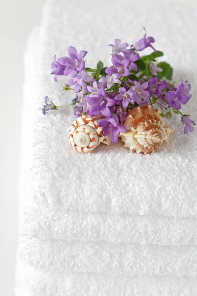 Serviettes avec fleurs et coquillages — Photo