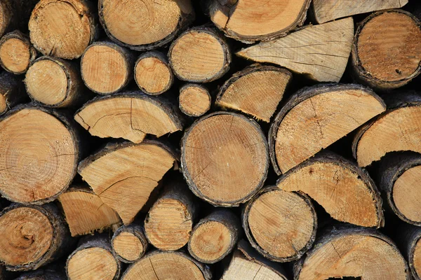 Pilha de troncos — Fotografia de Stock