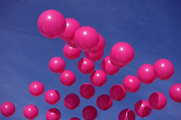 Roze ballonnen — Stockfoto