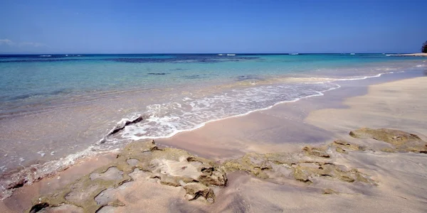 stock image Caribbean Beach