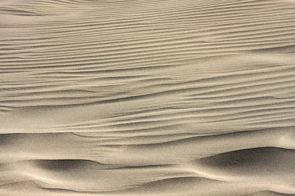 stock image Sand Dune