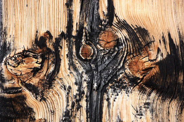 Fond en bois naturel — Photo