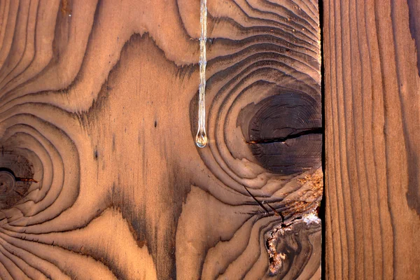 Fondo in legno con goccia di resina — Foto Stock