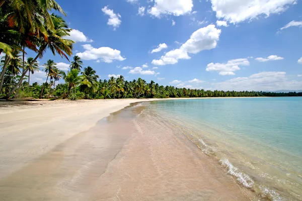 Praia caribenha — Fotografia de Stock