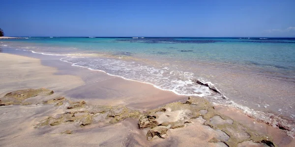 加勒比海滩 — 图库照片