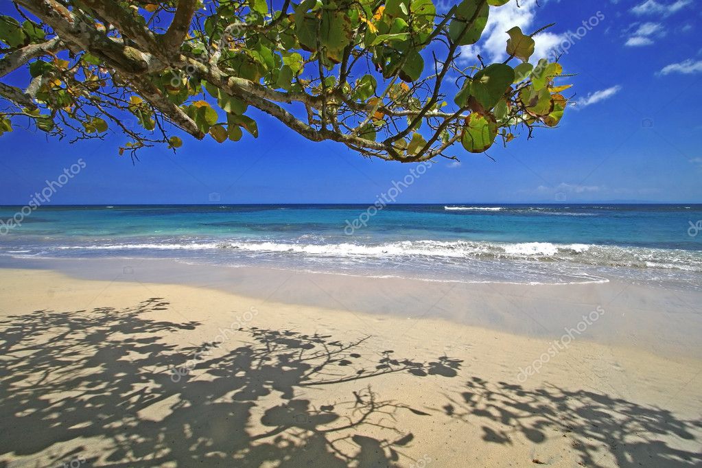 Caribbean Beach Scene — Stock Photo © monner #2507192